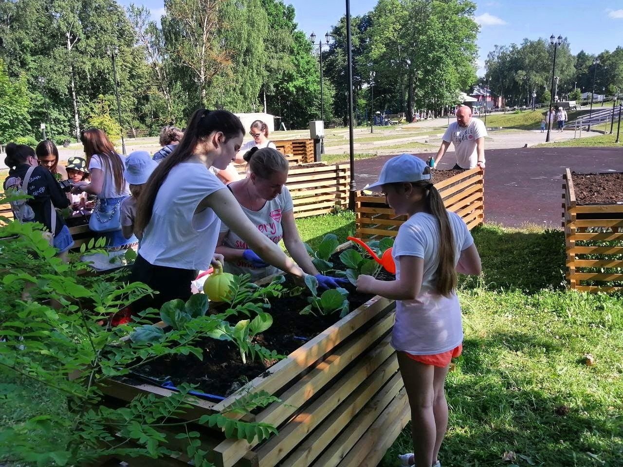 Общественный огород парк Маяковского. Общественный огород в парке Маяковского. Кантри парк Покров. Общественный огород в парке Горького.